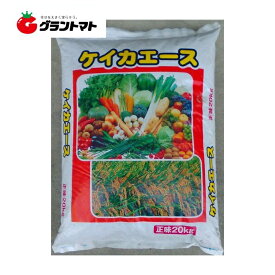 ケイカエース 0-2-20 20kg 珪酸入り肥料 (苦土3%ホウ素0.05%入り)