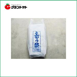 ŷ܁@400 hЁEЊQ|G` @48cm×62cm@VZC