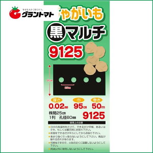 Ⴊ }` 9125 0.02×95×50m@VZC