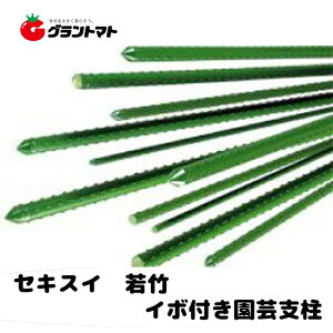 C{^PiC{|j 20mm×2100mm pbN50{ ZLXC