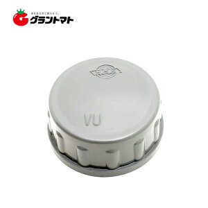 Lbv Ăьa100yrpCvz DVp