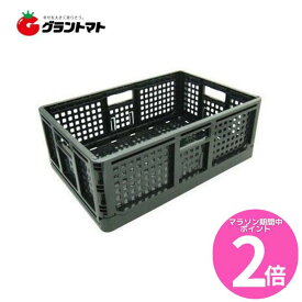 マラソン期間中P2倍 安全興業　折りたたみコンテナ　黒色　10個セット【取寄商品】