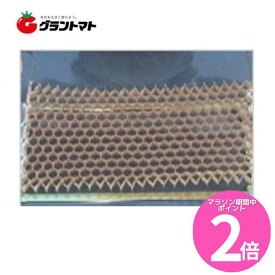 マラソン期間中ポイントP2倍！ チェーンポット CP-303 箱売り150冊いり 播種育苗用資材 日本甜菜製糖（ニッテン）【取寄商品】