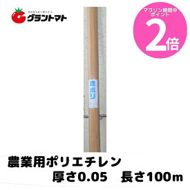 マラソン期間中P2倍 農ポリ 透明　厚さ0.05mm×幅270cm×長さ100m【農業用ポリエチレン】