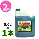 マラソン期間中ポイントP2倍！ オヒシバに効く！ 一刀両断草キラー 5L グルホシネート 18.5％ 非農耕地用 除草剤