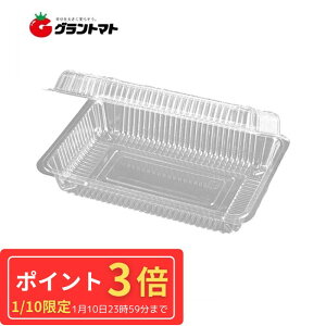 1/10(�y)����P3�{�I �t�[�h�p�b�N F-1-A(��[) SE ������2000������ �G�t�s�R�`���[�p