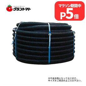 マラソン期間P5倍 バイドレーンダブル管 50mm×100m 東洋化工 暗渠排水管 ダブル有孔管 有孔ポリエチレン管 排水資材 土木 農業