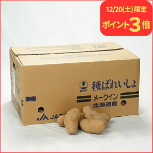 12/20����P3�{�I �݌Ɍ��� �k�C���Y�@���Ⴊ������q�@���[�N�C�� 10kg���y��΂ꂢ���匟�u���i�ؕ[�t���z