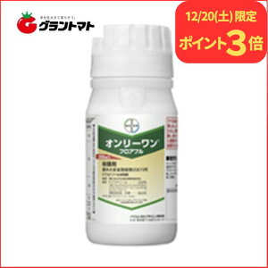 12/20����P3�{�I �I�����[�����t���A�u�� 250ml×20�{ �E�ۍ� �_�� �o�C�G���N���b�v�T�C�G���X�y��񏤕i�z