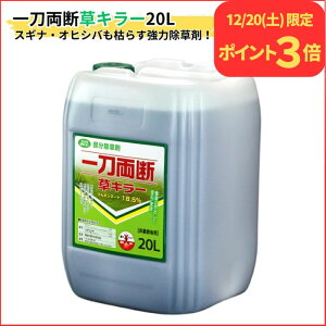 12/20����P3�{�I �I�q�V�o�Ɍ����I �꓁���f���L���[ 20L �O���z�V�l�[�g 18.5�� ��_�k�n�p ������