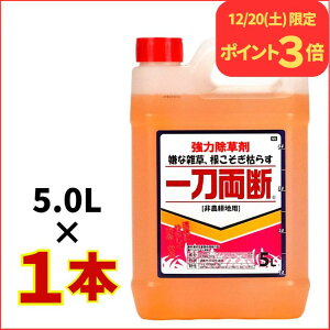 12/20����P3�{�I �꓁���f ������ 5L �O���z�T�[�g41% ��_�k�n�p ��� �t�� ���܂Ō͂炷 ���ԏ� ���H �G�� ����