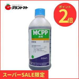 yVSSԒP2{I MCPPt 500ml×20{ XMiN[o[ɌŁEΒnp ۘaoCIP~J