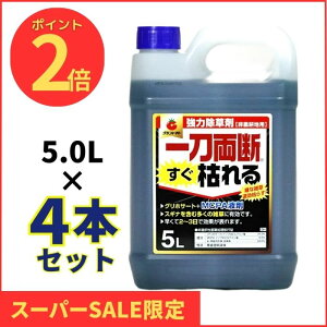 yVSSԒP2{I ꓁f͂ 5L×4{ U^Cv  ߃^Cv _knp OzT[g34 MCP