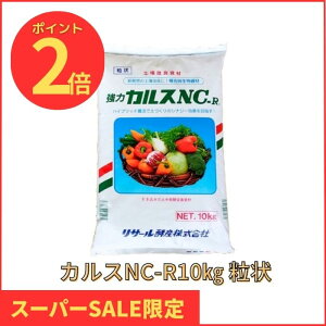 yVSSԒP2{I yԌzJX NC-R 10kg  T[yY