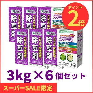 yVSSԒP2{I u}bNX5 1P[X 3kg×6   u}V5 _knp ubN5 j[Ai n[g