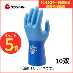 }\Jn`10/5P5{ eX No.281 LTCY 10o h V[O[u
