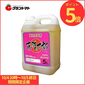 }\Jn`10/5P5{ ͂ꑾY 5L  ߃^Cv _knp OzT[g41%