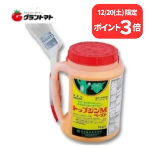 12/20����P3�{�I �g�b�v�W��M�y�[�X�g 1kg �n�P�t�� ���ؗp�،������� �_�� ���{���B