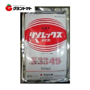 ]bNXa 500g×20 aۑjQ^Eۍ _ ZFw