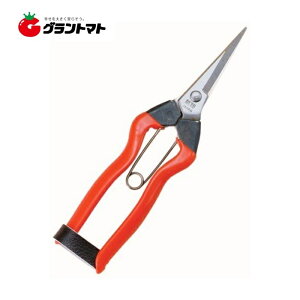 y2020`ő500~OFFN[|zXeX E K-9 185mm zH ѐy񏤕iz