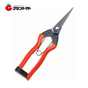 y2020`ő500~OFFN[|zԎ K-10 185mm zH ѐ