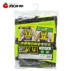 TAKAGI@@V[gˈSxXg@×CG[V