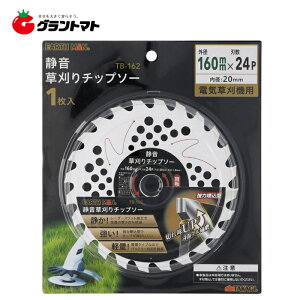 EARTH MAN�É������`�b�v�\�[160X24TB�[162���V