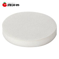 EARTH MAN　EP-300用スポンジパッド高儀【取寄商品】