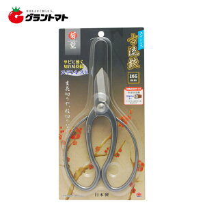 e@@XeX×165mmVy񏤕iz