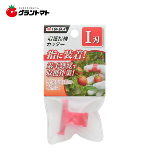 TAKAGI nwփJb^[In Vy񏤕iz