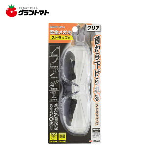 EARTH MAN  安全メガネ ストラップ付 クリア高儀