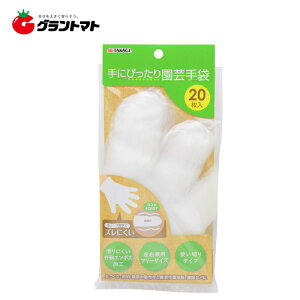 Sun Garden@@ɂ҂艀|܁@@20Vy񏤕iz