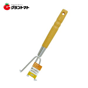 GREEN ART@ؕN}f@WN[bL@Vy񏤕iz