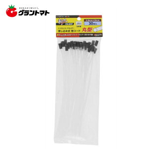 EARTH MANaہ@R[hی^30{2D8×20CMVy񏤕iz