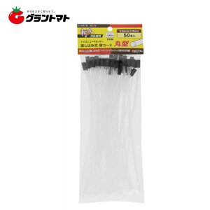 EARTH MANaہ@R[hی^50{2D8×20CMVy񏤕iz