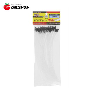 EARTH MANaہ@R[hی^30{3D0×20CMVy񏤕iz