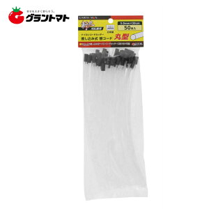 EARTH MANaہ@R[hی^50{3D0×20CMVy񏤕iz