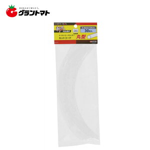 EARTH MANaہ@R[hی^30{2D4×24CMVy񏤕iz