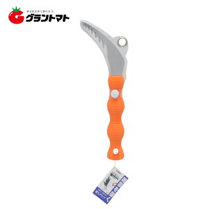 12/5IXSi|Cg3{ TAKAGI@@ɃNG@@@NZB]3Vy񏤕iz