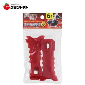 EARTH MAN@aہ@_Jb^[B]Dp֐n@6@V