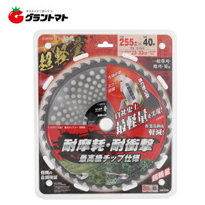 EARTH MAN@aہ@`bv\[yʁ@255×40P@V