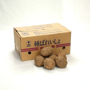 ݌Ɍ kCY@Ⴊq@_VNij݁j 5kgy΂ꂢ匟uiؕ[tz