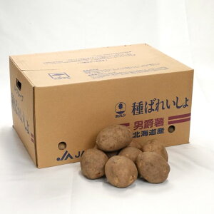 _VNij݁j 10kg kCY Ⴊq y΂ꂢ匟uiؕ[tz