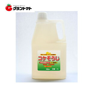 RP 2L RP̏ ƖpZkt pltHƁy񏤕iz