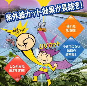 _CX^[UVJbg^Cv 0.15 200 1m _POyrj[nEXzy񏤕izy󒍐Yz