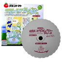 岩間式 ミラクルパワーブレード 255mm 30P【草刈機 刈払機 替刃】