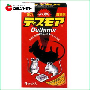 12/5IXSi|Cg3{ ̓fXA (Ō^) 4g[A[Xy񏤕iz