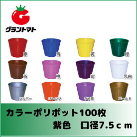 カラーポリポット（紫）7.5cm100枚入　【ポリ鉢】