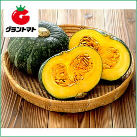 みやこ南瓜　10dl 野菜種子【かぼちゃ　カボチャ】【取寄商品】