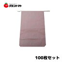 米袋 新袋無地 30kg 100枚 3重構造の頑丈な紙袋【単品送料無料】